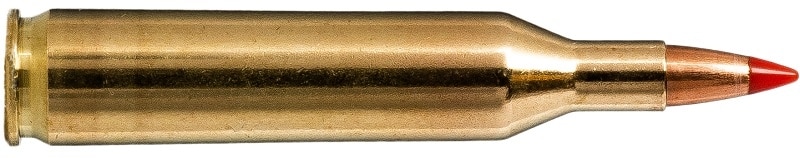 17 Rem 20gr V-Max 20 Pack