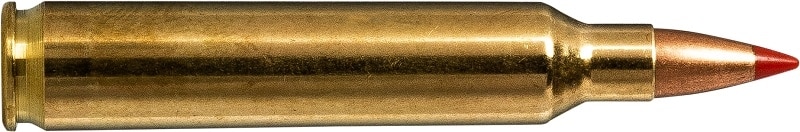 204 Ruger 40gr V-Max 20 Pack