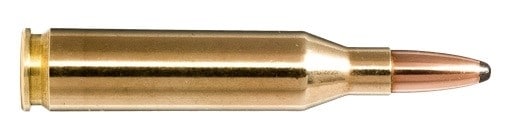 243 Win 100gr Whitetail SP 20 Pack