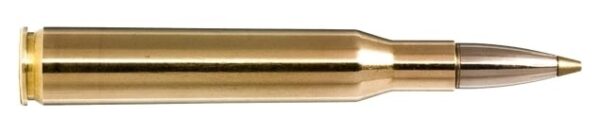 270 Win 96gr Evostrike 20 Pack