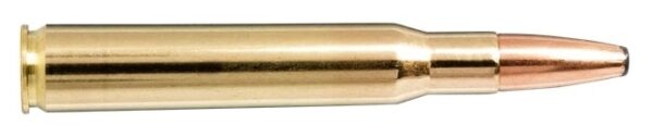 30-06 SPRG 200gr Oryx 20 Pack
