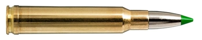 338 Win Mag 200gr Ecostrike 20 Pack